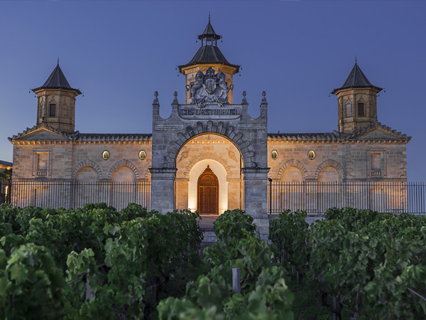 12.11.2025 Rare encounter 